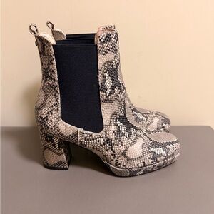 Women’s French Connection Penny Snake Print Chelsea Ankle Boots